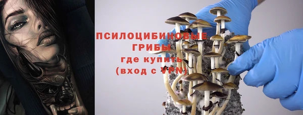 марки lsd Козельск