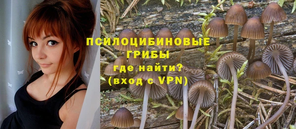 марки lsd Козельск